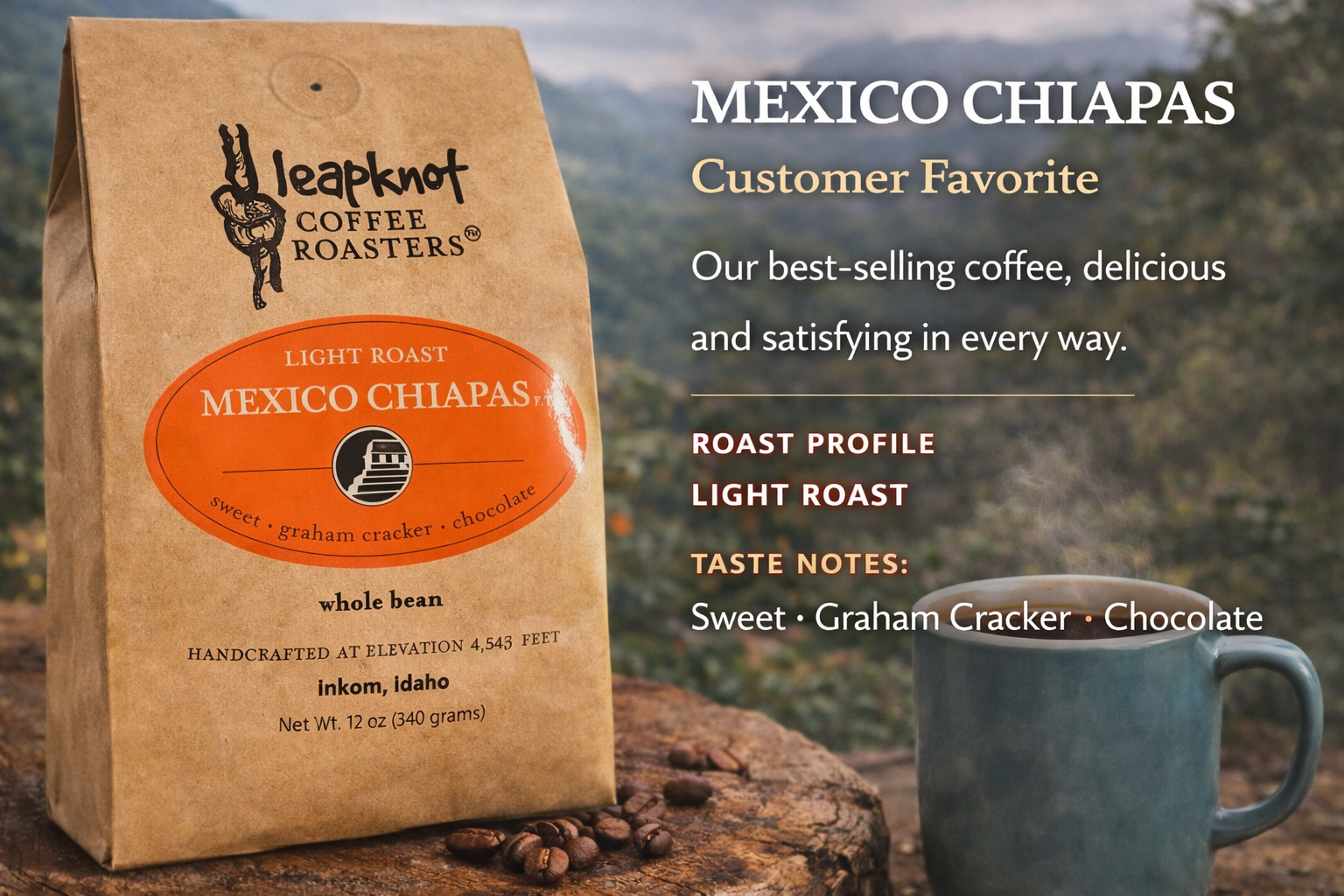 Mexico Chiapas – Leapknot Coffee Roasters