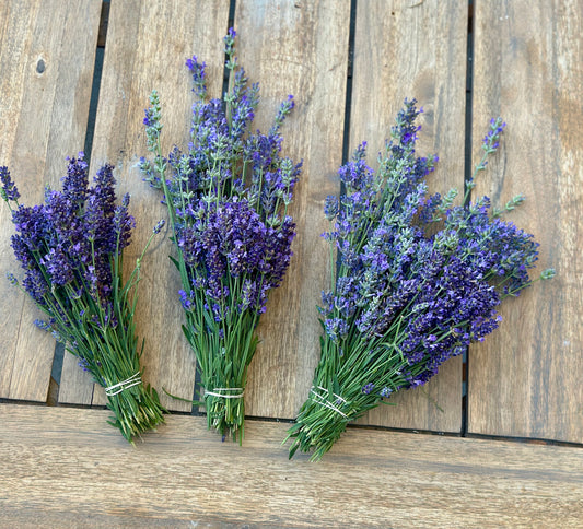 Lavender Bundles