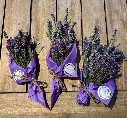 Lavender Bundles